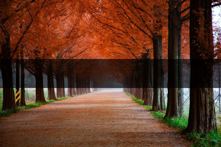 這樣的茶葉邊疆文化，也許是明代大學(xué)者解縉最樂意見到的。他曾說，中原最好的東西就是茶，而番人最好的就是馬。他贊同明廷茶馬互市的國策：茶之于夷人，如同中國之酒醴，因?yàn)椴桉R貿(mào)易，許多夷人也開始學(xué)習(xí)中國的知識(shí)，對(duì)中國也有了向慕之心，那么茶的作用就很顯然，茶有著“夷夏之交，義利之辨，寅賓尚忠信而篤敬，河州固唐虞三代之邦也?！?茶不僅僅是一種飲品，還有其他。茶作為媒介，體現(xiàn)了觀念的變化。如今，隨著茶的傳播，各族人民有了更深入往來，通過貿(mào)易、文化、旅游等等。
陳渠珍從西藏抵達(dá)湟源區(qū)域時(shí)，也為這里的古風(fēng)所震驚：“余皆漢番雜處。風(fēng)俗婦女尚餞足，裙下蓮步不及三寸，服飾既古，文化尤卑，鄰居為私塾，當(dāng)見一生久讀不能成誦，塾師罰之跪，以草圈罩頭上，頻加籌石，令其跪誦。余見駭然?！?
?
（摘自《海峽茶道》，2013年5期）