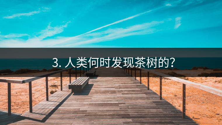 ? 3. 人類何時(shí)發(fā)現(xiàn)茶樹的？