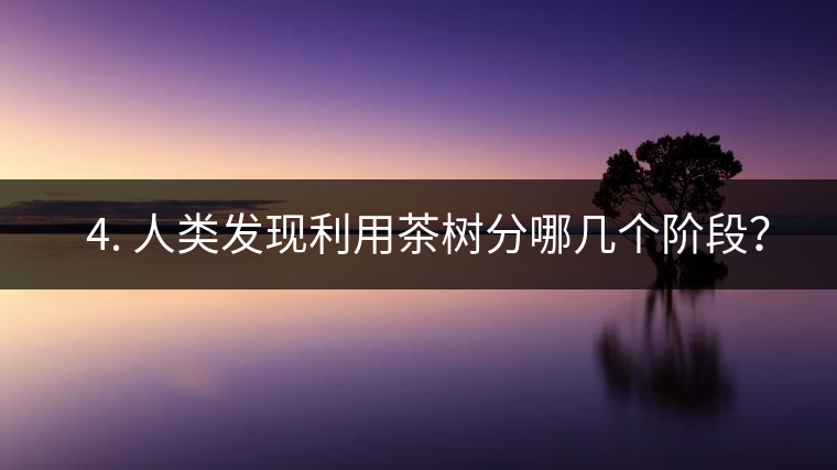 ? 4. 人類發(fā)現(xiàn)利用茶樹分哪幾個(gè)階段？
