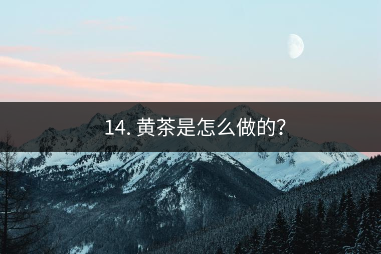 ? 14. 黃茶是怎么做的？