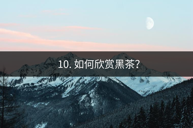 ? 10. 如何欣賞黑茶？