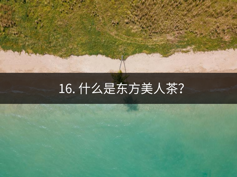 ? 16. 什么是東方美人茶？