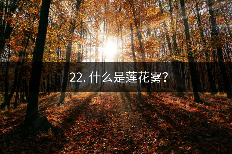 ? 22. 什么是蓮花霧？