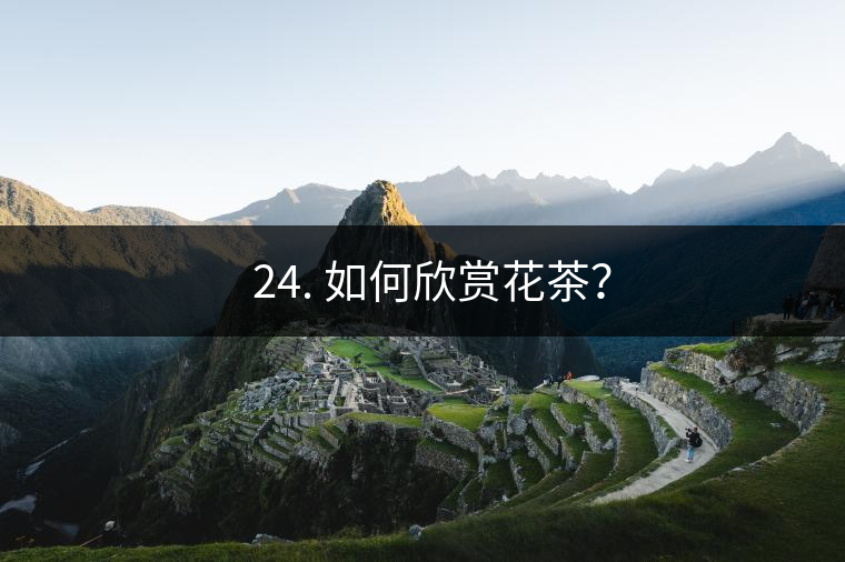 ? 24. 如何欣賞花茶？