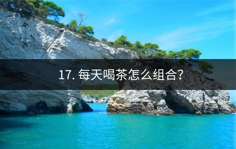? 17. 每天喝茶怎么組合？