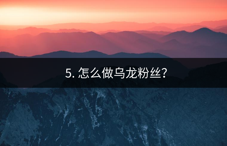 ? 5. 怎么做烏龍粉絲？