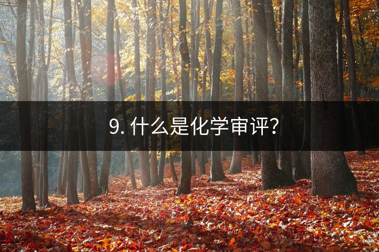 ? 9. 什么是化學(xué)審評(píng)？