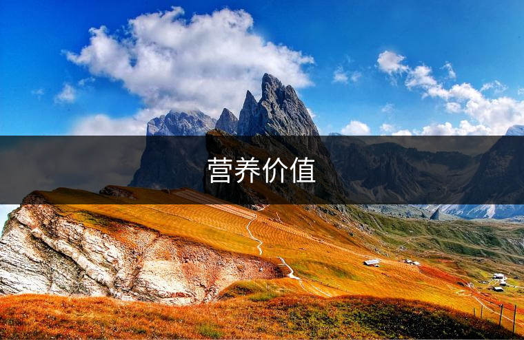 營(yíng)養(yǎng)價(jià)值 營(yíng)養(yǎng)價(jià)值