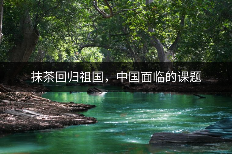 抹茶回歸祖國(guó),中國(guó)面臨的課題 抹茶回歸祖國(guó),中國(guó)面臨的課題