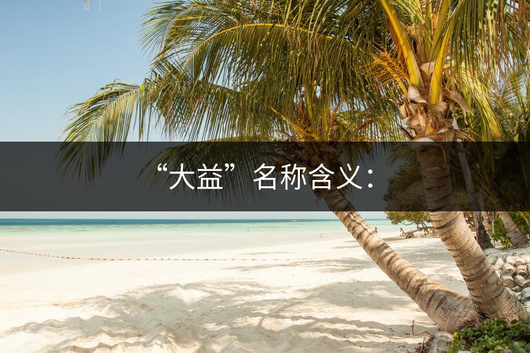 “大益”名稱含義：