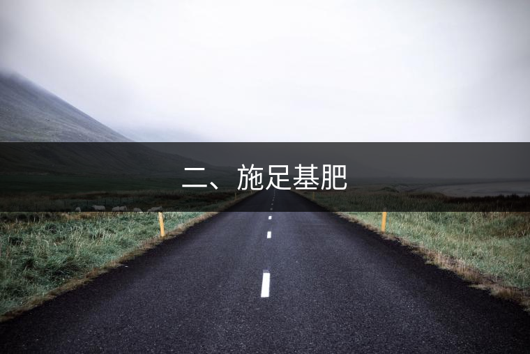 二、施足基肥