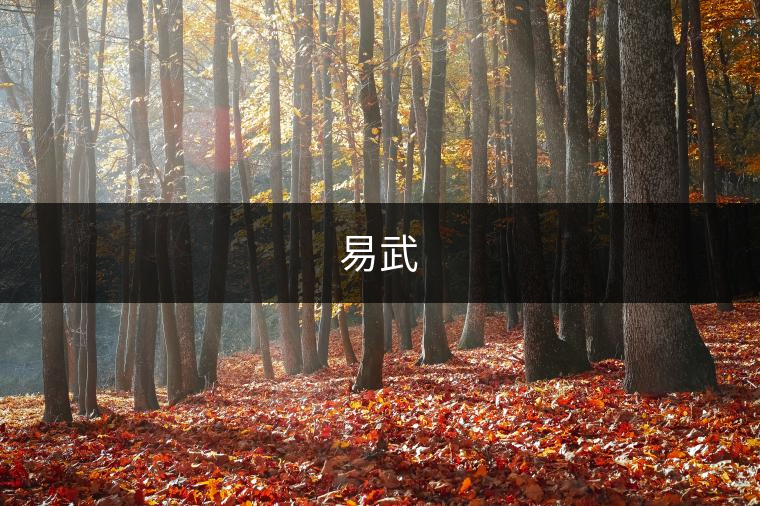 易武? 易武?