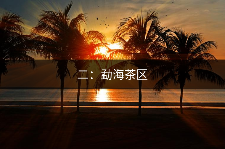 二:勐海茶區(qū) 二:勐海茶區(qū)