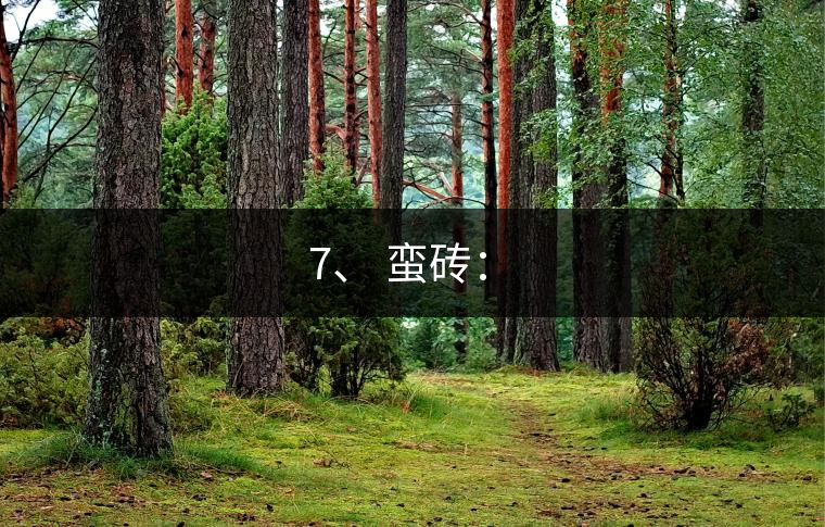 7、 蠻磚：?