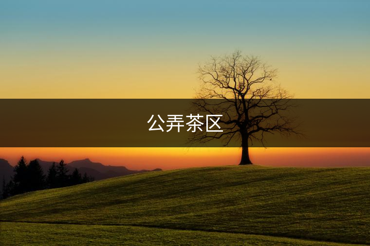 公弄茶區(qū)