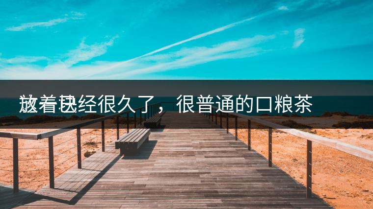 這一塊
放著已經(jīng)很久了，很普通的口糧茶，煙味很重，但回甘也可以，隨意喝喝吧。