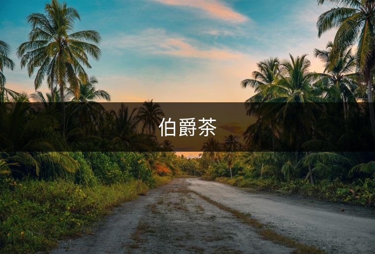 伯爵茶 伯爵茶