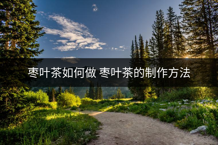 棗葉茶如何做 棗葉茶的制作方法 棗葉茶如何做 棗葉茶的制作方法