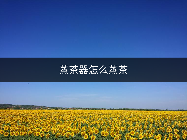 蒸茶器怎么蒸茶