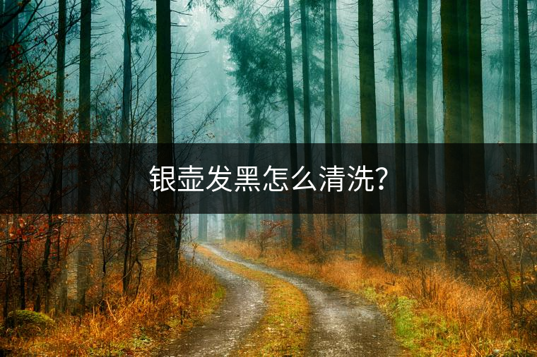 銀壺發(fā)黑怎么清洗？