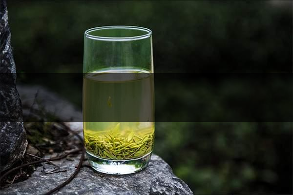 pick春茶攻略！