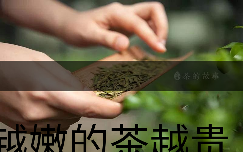 越嫩的茶越貴，但越貴的茶就越好嗎？