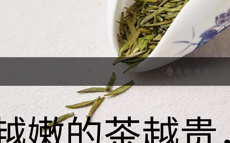 越嫩的茶越貴，但越貴的茶就越好嗎？-1