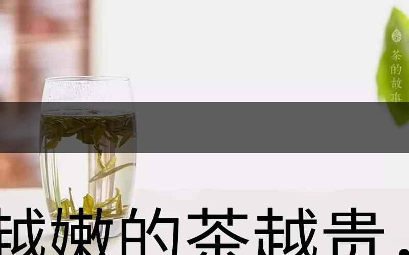 越嫩的茶越貴，但越貴的茶就越好嗎？-2