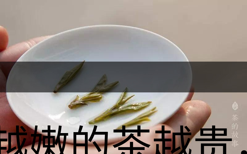 越嫩的茶越貴，但越貴的茶就越好嗎？-3