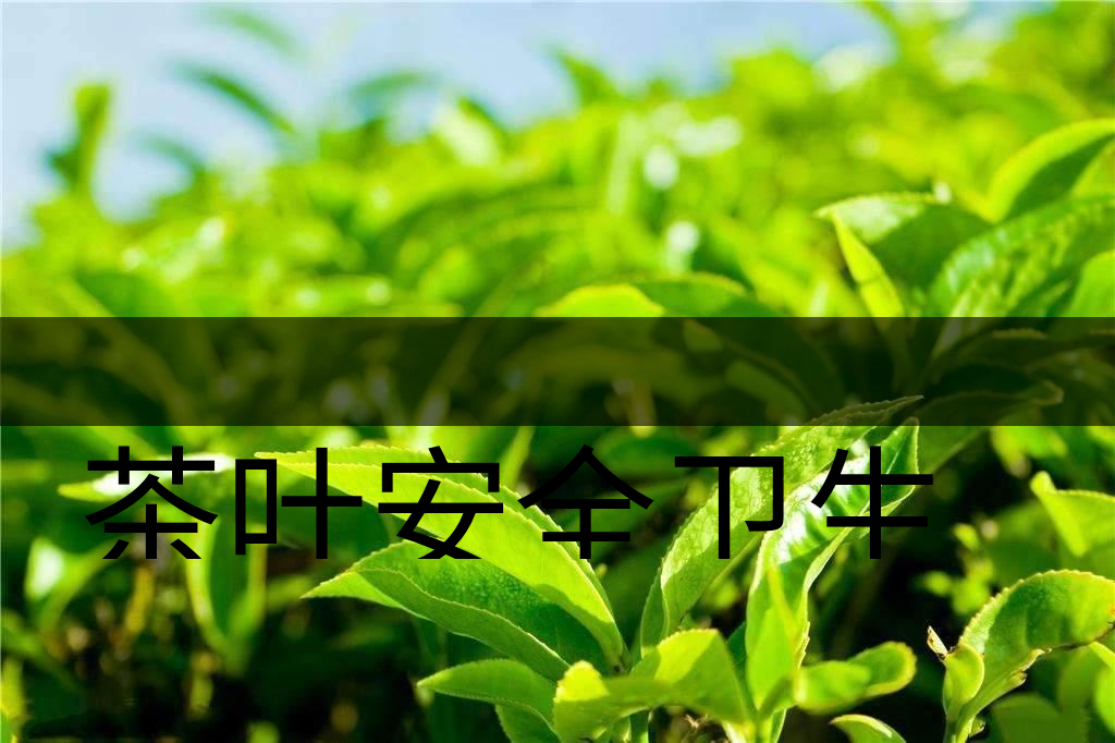 茶葉安全衛(wèi)生與我國(guó)相關(guān)法規(guī)管理體系簡(jiǎn)述(叁)-1 茶葉安全衛(wèi)生與我國(guó)相關(guān)法規(guī)管理體系簡(jiǎn)述(叁)-1
