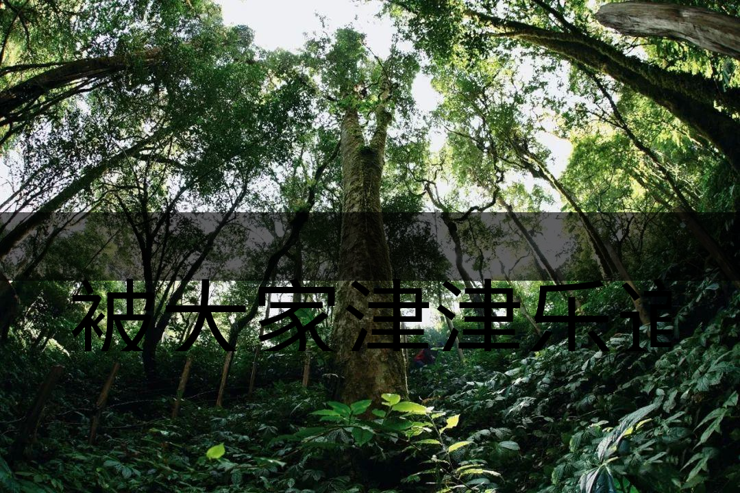 被大家津津樂(lè)道的森林茶，你知道是什么？-6-1