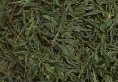 什么是海青茶？沖泡手法詳細(xì)教學(xué)！