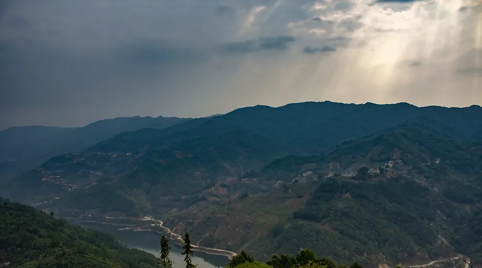 2021年磨烈：風頭正勁的后起之秀，到底有何特點？