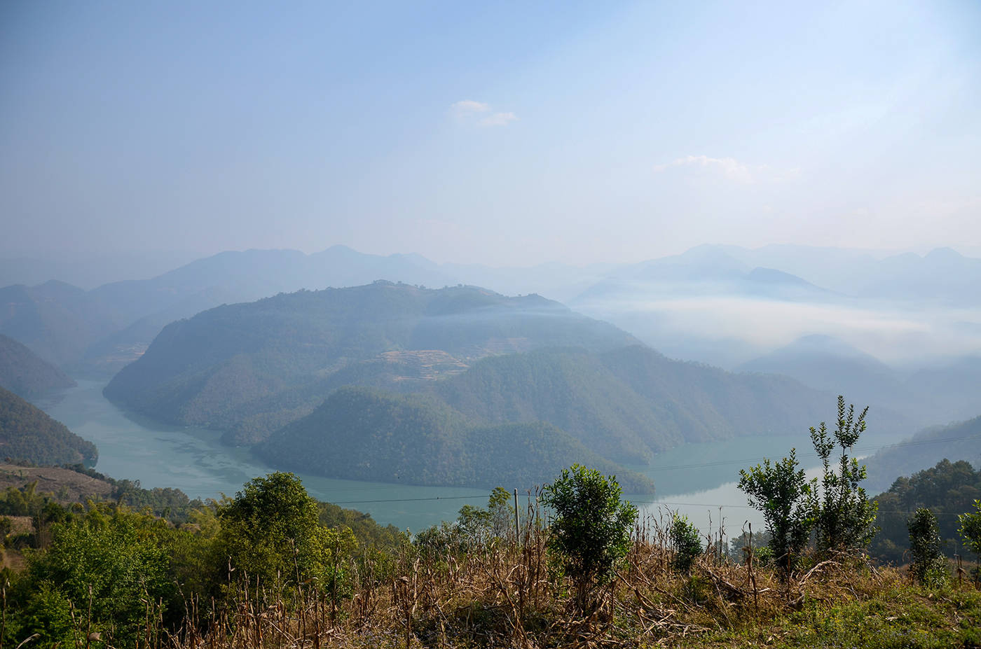 2021年白鶯山古樹秋茶，佛茶有什么魅力？
