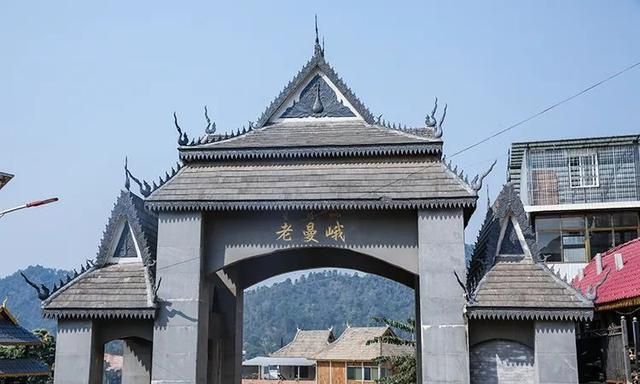 2021年老曼峨古樹秋茶特點(diǎn)？