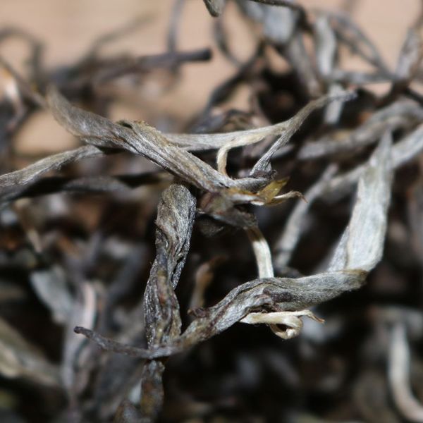 2021年帕沙古樹秋茶，你了解多少？