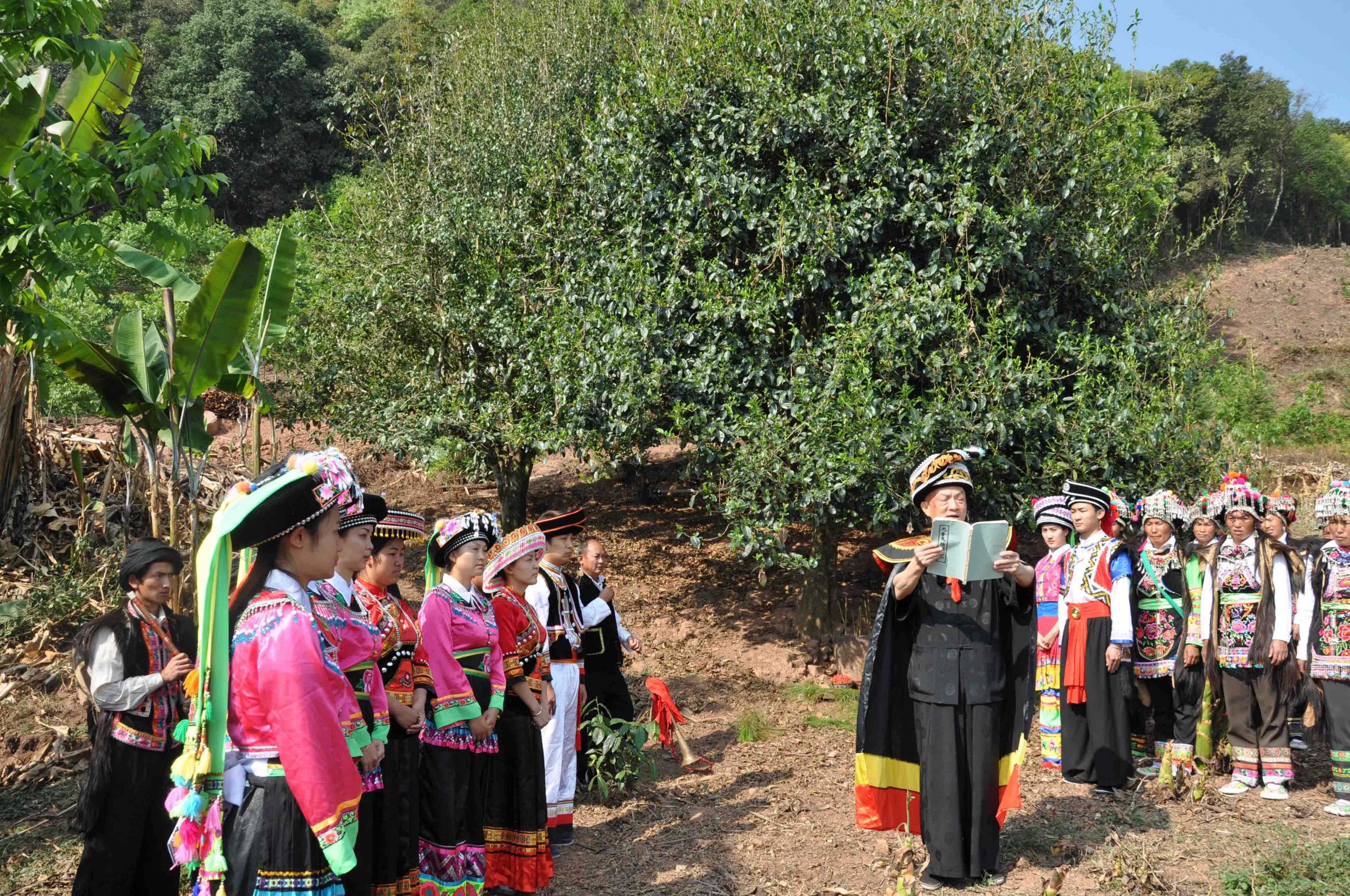 2022年景東御筆古樹春茶多少錢一公斤？