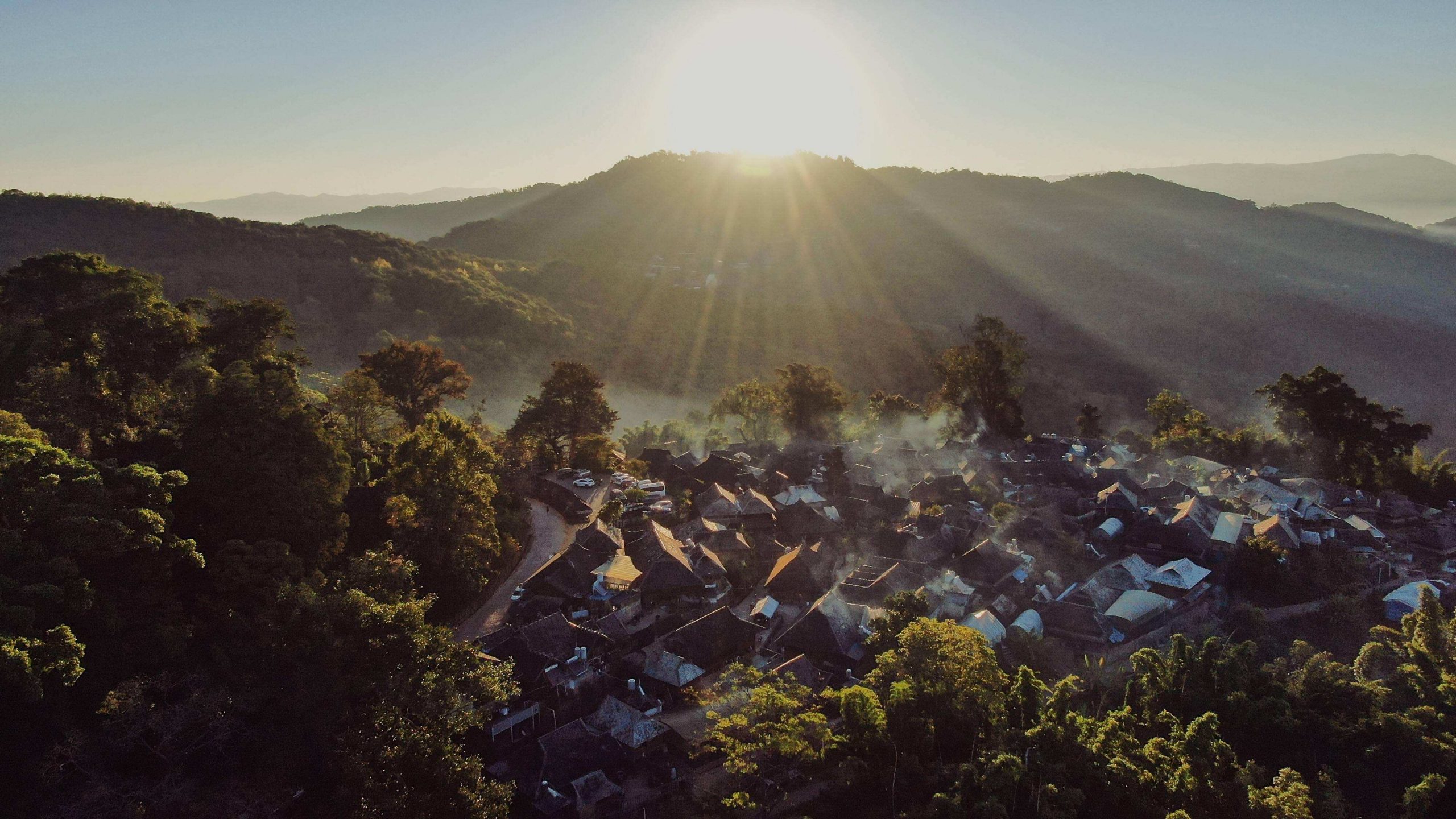 2022年景邁山古樹春茶特點？