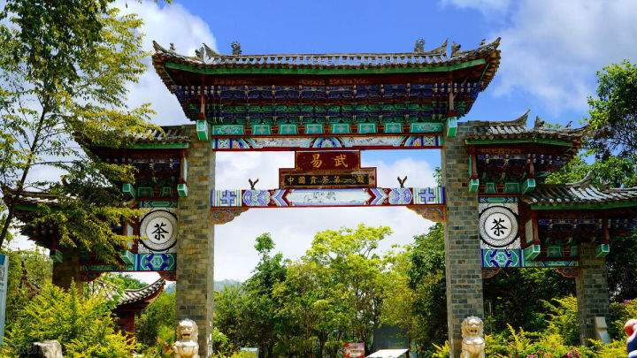 2022年易武正山在哪？易武正山是什么意思？