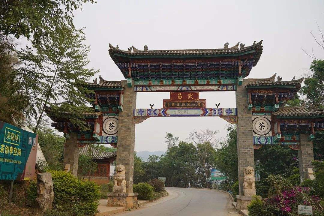 2022年易武正山古樹春茶特點？