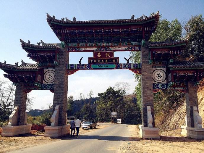 2022年易武正山古樹春茶價格？