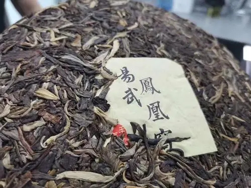 2022年鳳凰窩古樹高桿，鳳凰筑巢的地方