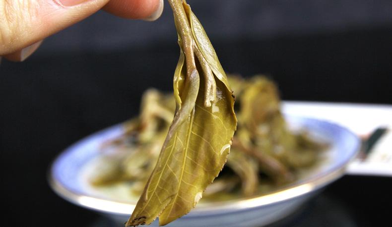 2022年冷水河古樹春茶價(jià)格？