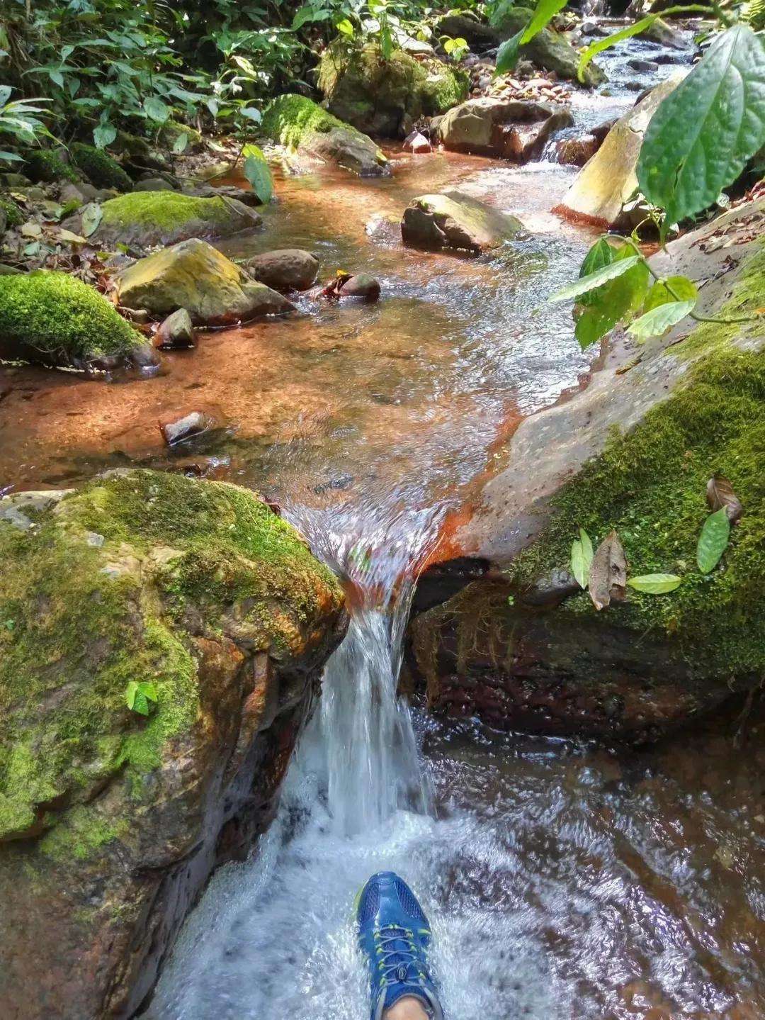 2022年銅箐河古樹春茶多少錢一公斤？