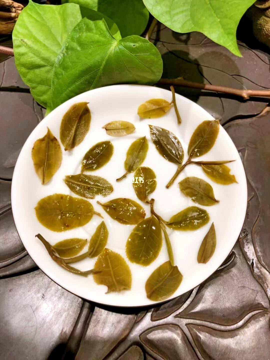 2022年倚邦貓耳朵古樹春茶多少錢一公斤？