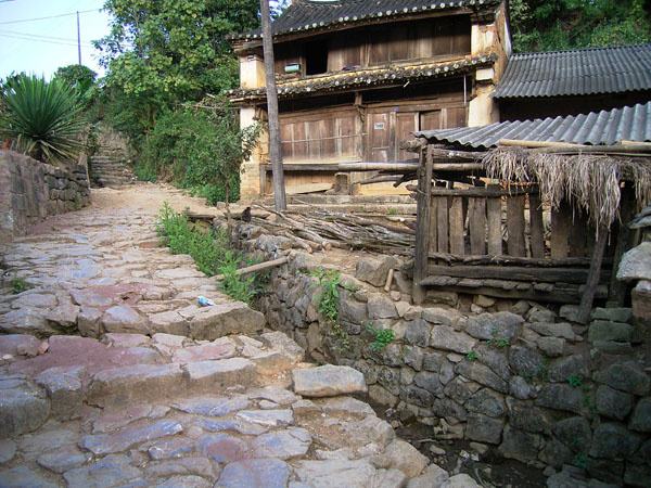 2022年蠻磚古樹春茶特點？