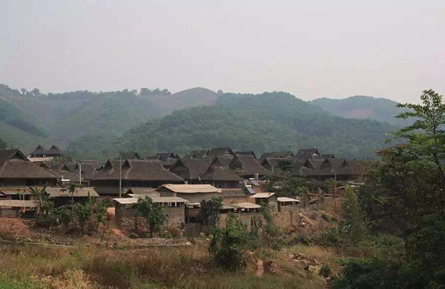 2022年革登古樹春茶特點(diǎn)？