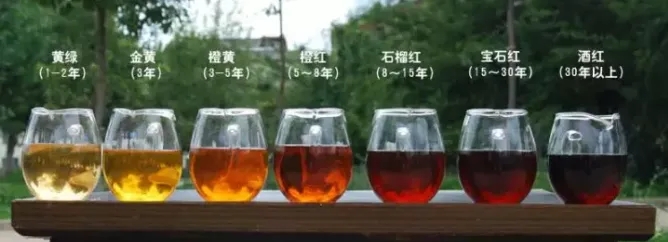2022年普洱茶的茶湯湯色要怎么描述？