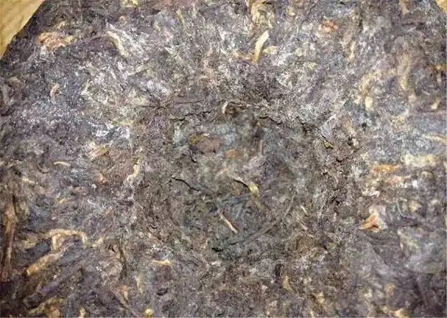 2022年普洱茶受潮發(fā)霉了怎么辦？