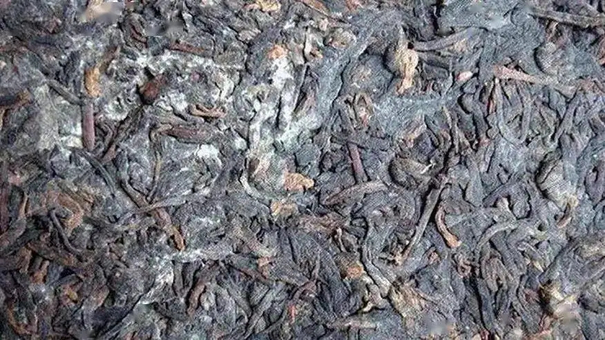 普洱茶怎么樣才算發(fā)霉？